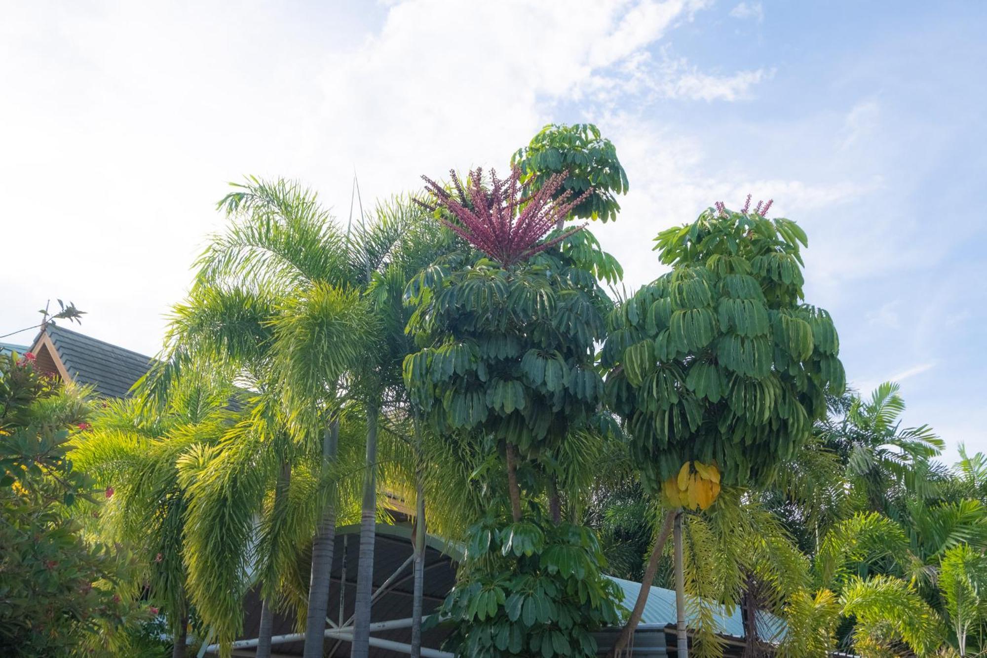 Blue Beach Grand Resort And Spa In Chalong Phuket By Dayuu Ban Saiyuan Exterior photo